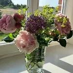 Haus Bredland, Whg 2 Lejlighed *